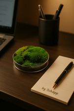 🌿 Grüne Bürooase –